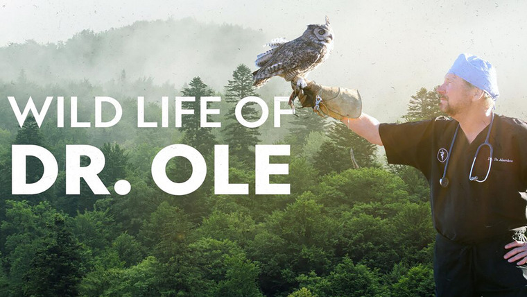 Сериал The Wild Life of Dr. Ole