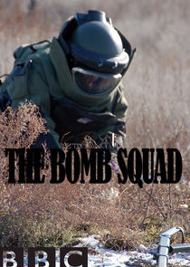 Сериал The Bomb Squad