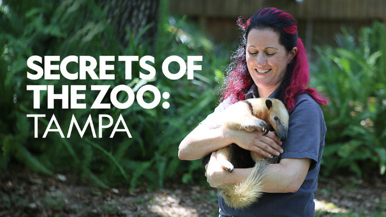 Show Secrets of the Zoo: Tampa