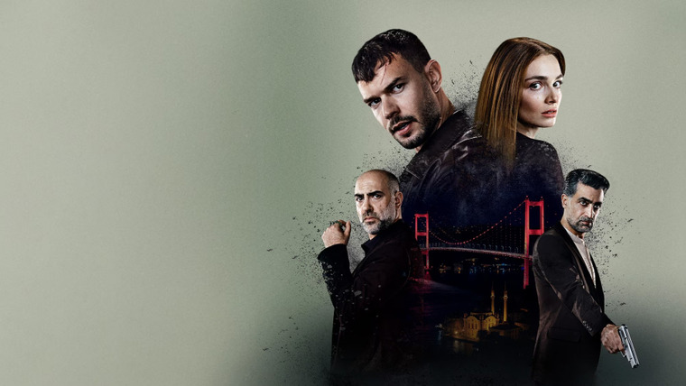 Сериал Анатомия хаоса