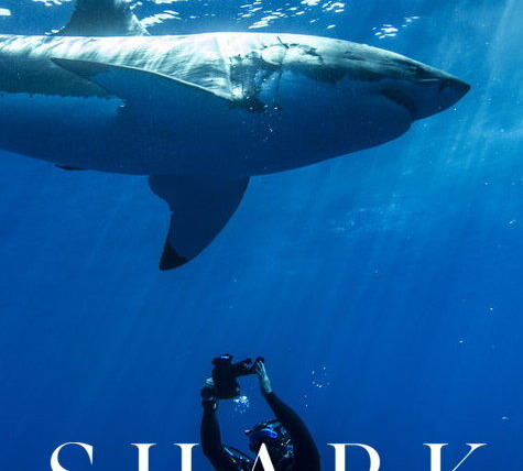 Сериал Shark with Steve Backshall
