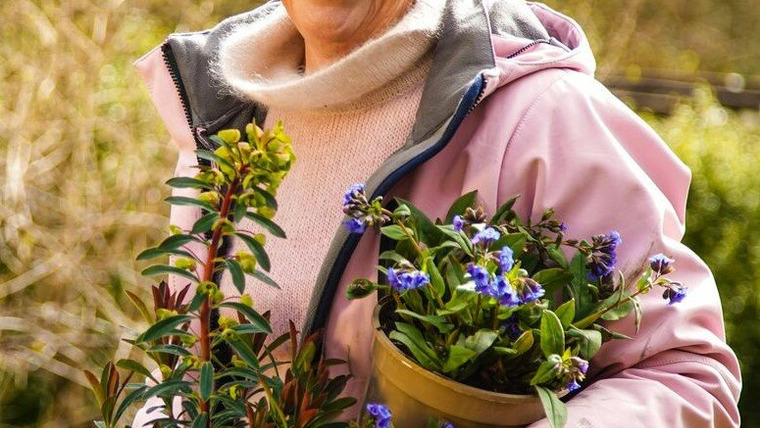 Сериал Spring Gardening with Carol Klein