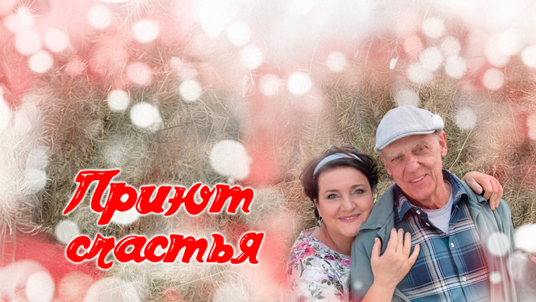 Сериал Приют счастья