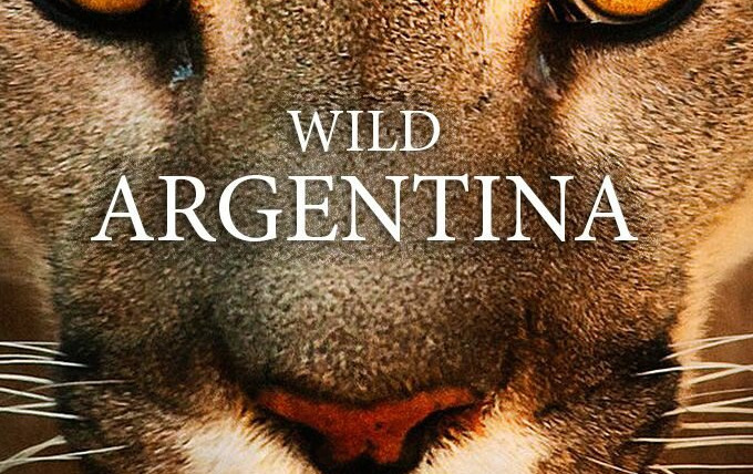 Сериал Wild Argentina