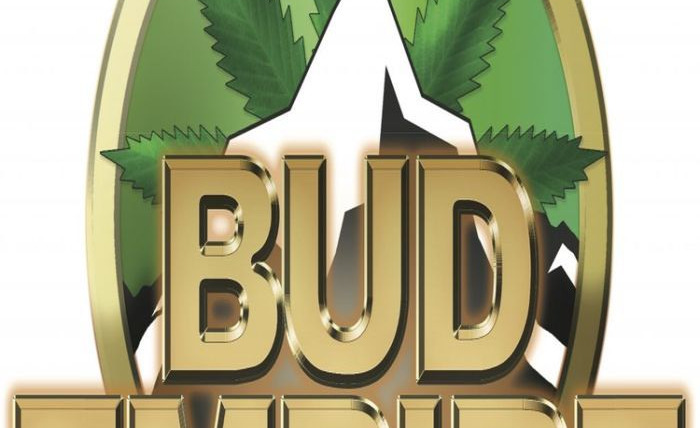 Сериал Bud Empire
