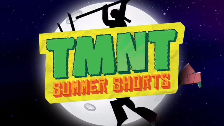 Show TMNT Summer Shorts