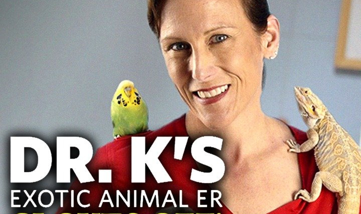 Show Dr. K's Exotic Animal ER: Gloves Off!