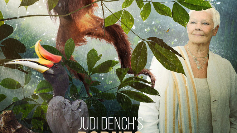 Show Judi Dench's Wild Borneo Adventure