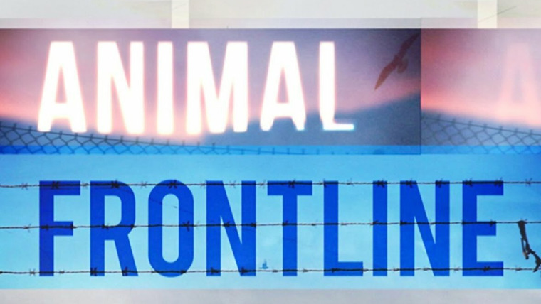 Сериал Animal Frontline