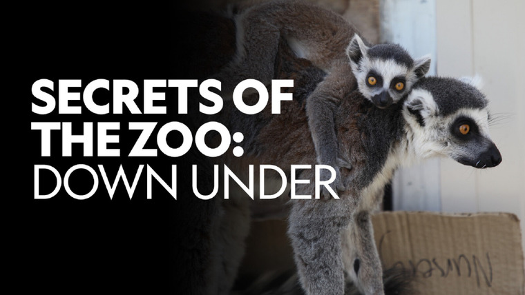 Show Taronga: Who's Who in the Zoo?