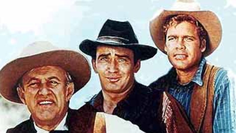 Сериал Виргинец