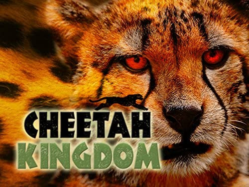 Show Cheetah Kingdom