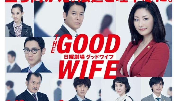 Show The Good Wife