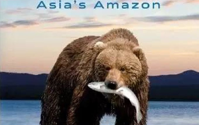 Сериал Amur Asia's Amazon