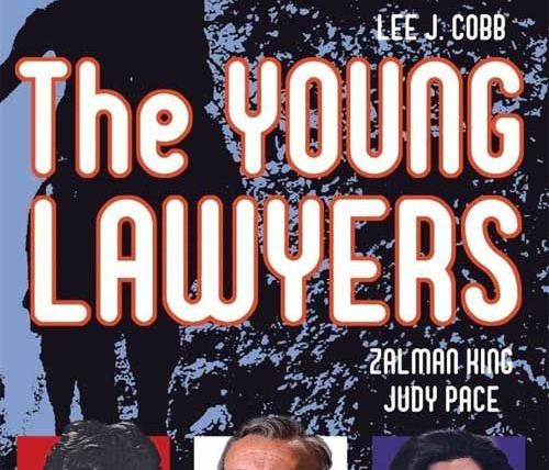 Сериал Молодые юристы