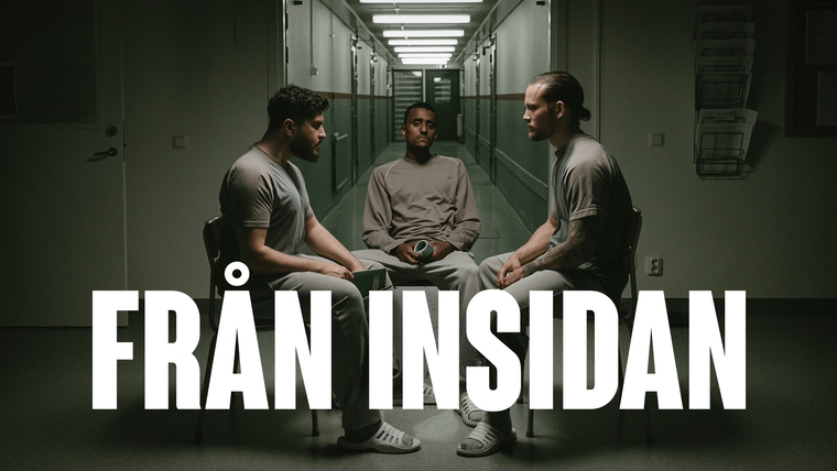 Сериал Изнутри