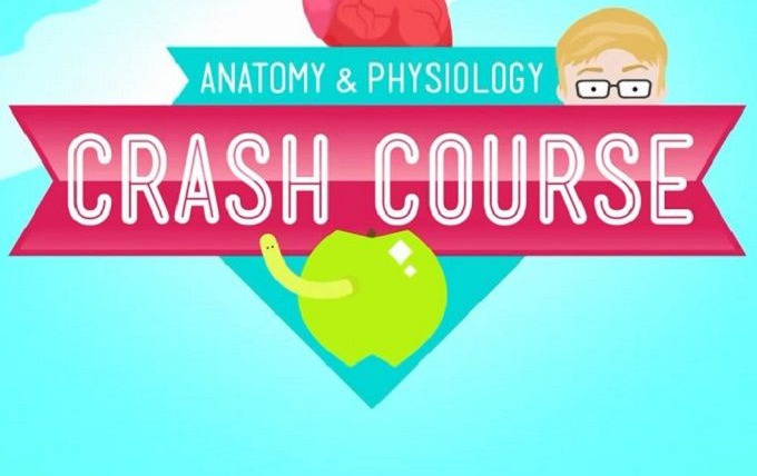 Сериал Crash Course Anatomy & Physiology