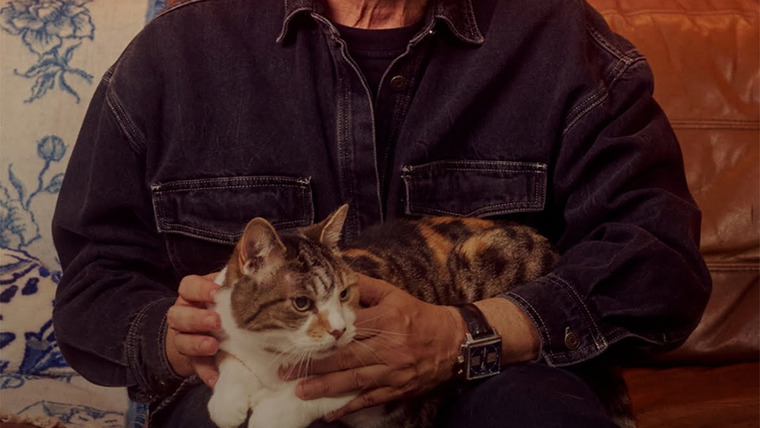 Сериал David Baddiel: Cat Man