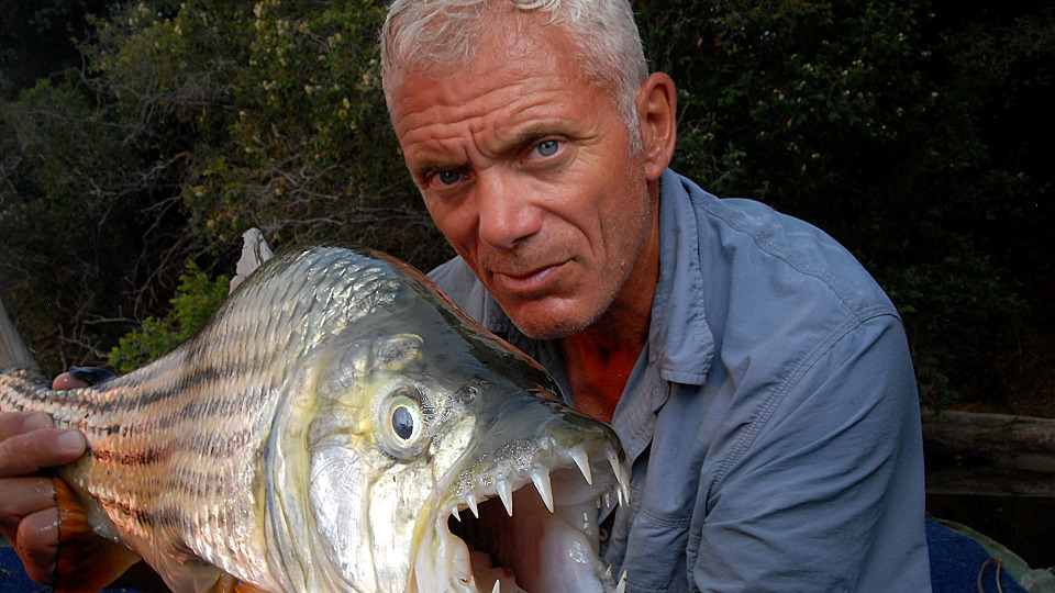 Rechnye Monstry River Monsters 8 Sezon Data Vyhoda Serij Rejting Otzyvy Na Serial I Spisok Vseh Serij