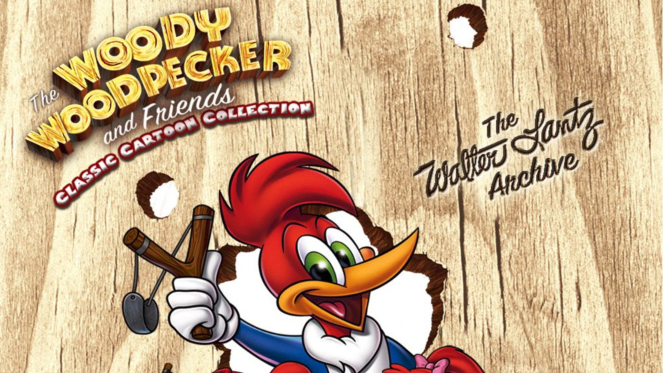 woody woodpecker under the counter spy