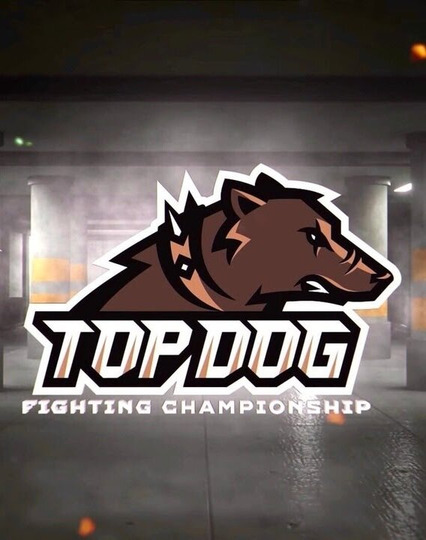 Topdog зал