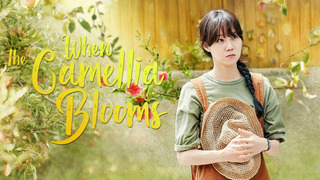 Show When the Camellia Blooms