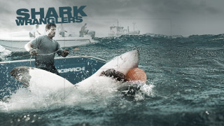 Shark Wranglers season 1