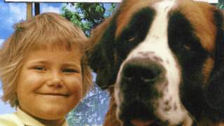 Сериал На острове Сальткрока