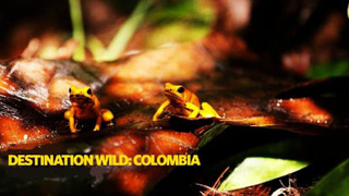 Destination Wild: Colombia сезон 1