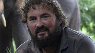 Show Elephant Hospital