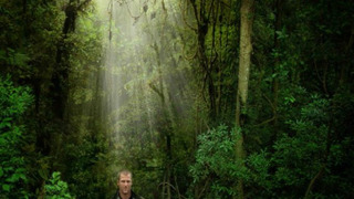 Сериал Mystery of the Lost Islands