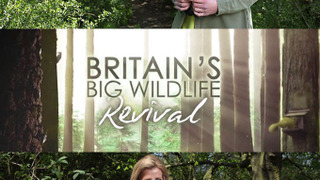 Britain's Big Wildlife Revival season 1