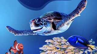 Сериал Reef School