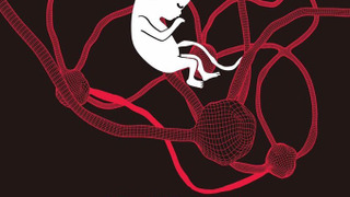 Сериал О детях