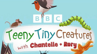 Show Teeny Tiny Creatures