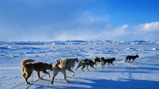 Iditarod: Toughest Race on Earth season 1