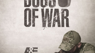 Dogs of War season 1