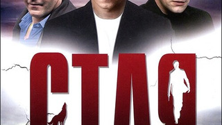 Сериал Стая