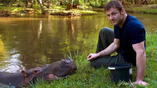 Сериал World's Deadliest Towns