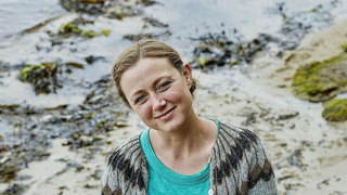 Show Britain at Low Tide