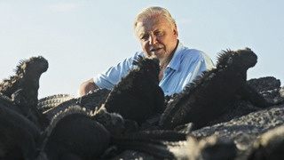 David Attenborough's First Life season 1