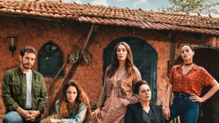 Сериал Враг любви	