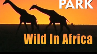 Animal Park: Wild in Africa сезон 1