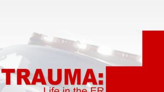 Trauma: Life in the E.R. season 2