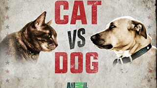 Cat vs. Dog сезон 1
