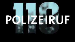 Polizeiruf 110 сезон 21