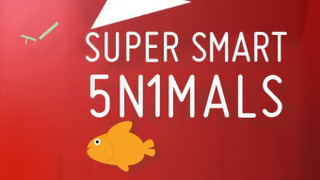 Super Smart Animals сезон 1