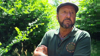 Show A Year in the New Forest