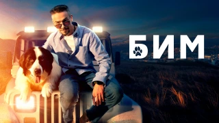 Сериал БиМ