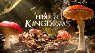 Hidden Kingdoms season 1